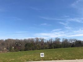 Lot 103 Shoreline Vista