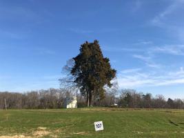 Lot 107 Shoreline Vista