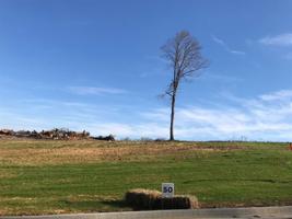 Lot 50 Bridgewater Blvd