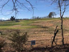 Lot 170 Hill Trail