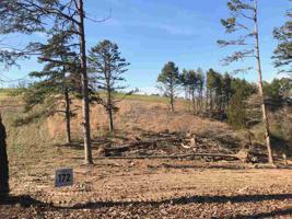 Lot 172 Hill Trail
