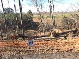 Lot 154 Hill Trail