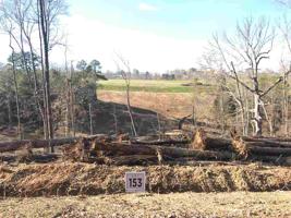 Lot 153 Hill Trail