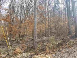 2256 Island Park Cir