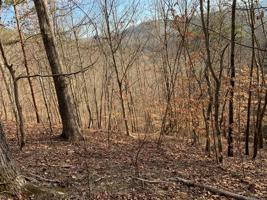 Lot 65 Ridgecrest Drive
