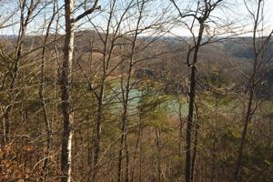 Lot 71 Ridgecrest Road