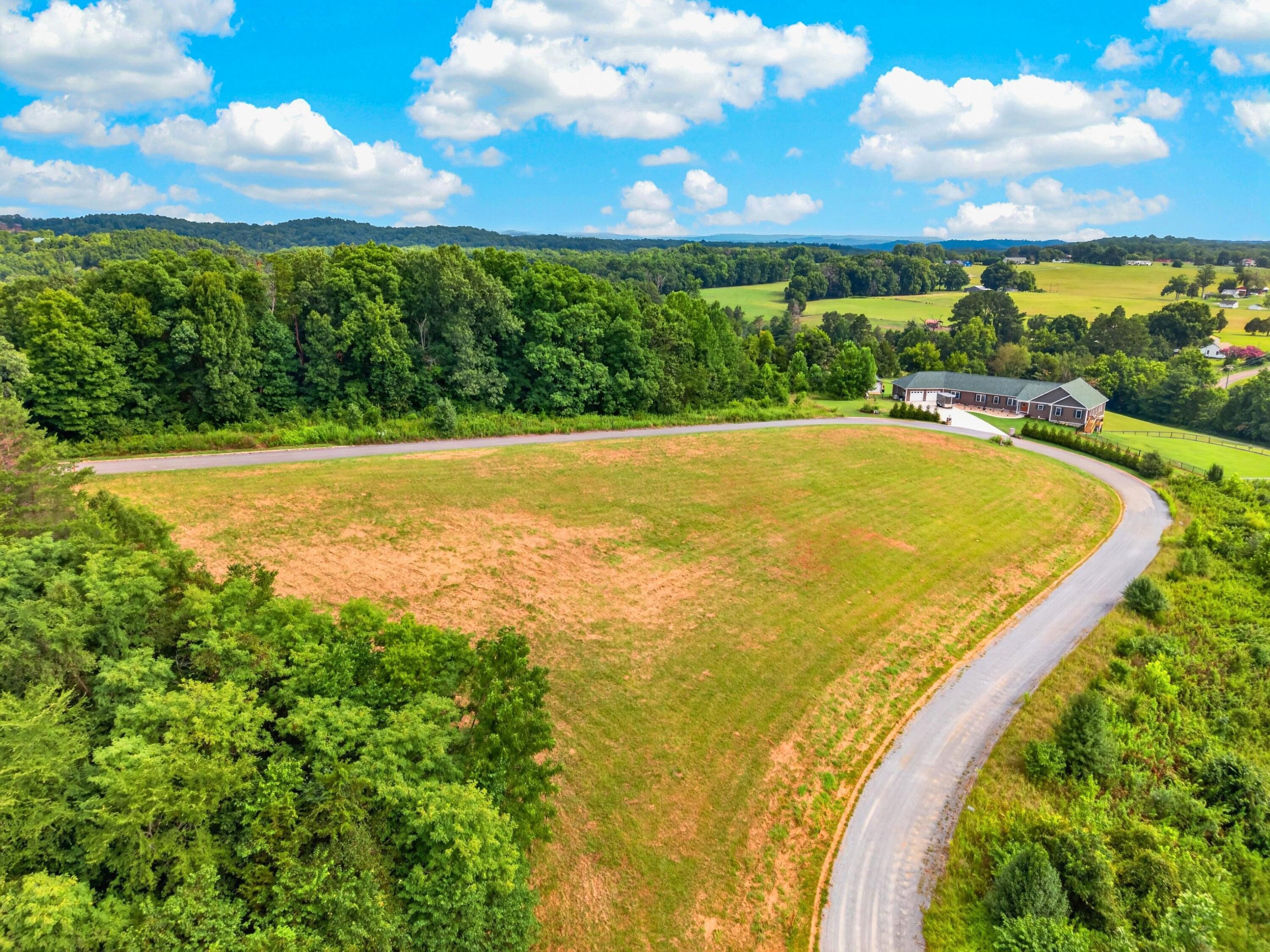 Image 3: 008-WoodedCoveWay-Dandridge-TN-37725-SMA