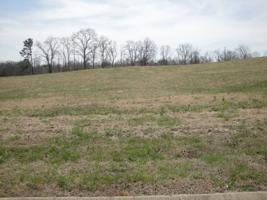 LOT 44 CHIPPEWA LANE