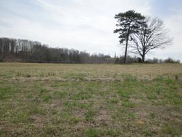 LOT 48 CHIPPEWA LANE