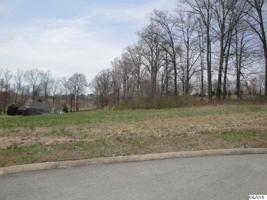 LOT 53 WASHITA LANE