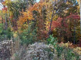 Lot 28 Bridgewater Blvd.