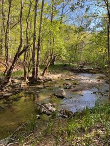 0 Cedar Crest Circle/Beaver Lane