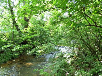 Lot 13RB Hilltop ROAD