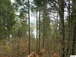 Lot 2 Light House Pointe