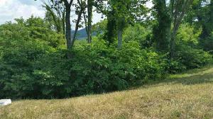 2038 Turners Landing Road