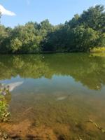 Lakewood Drive