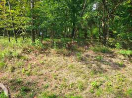 1437 Echota Lane