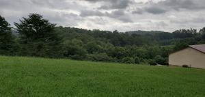 TBD Newman Hollow
