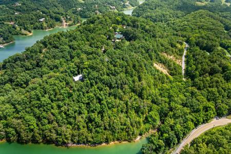 Lot 1 Skyview Way