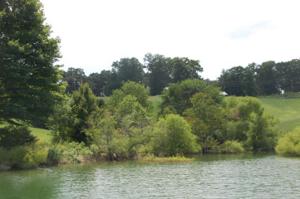 Seven Oaks Drive