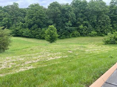 Lot 64-Cow Poke-Lane