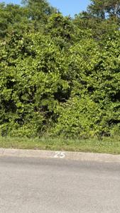 2028 Turners Landing Road