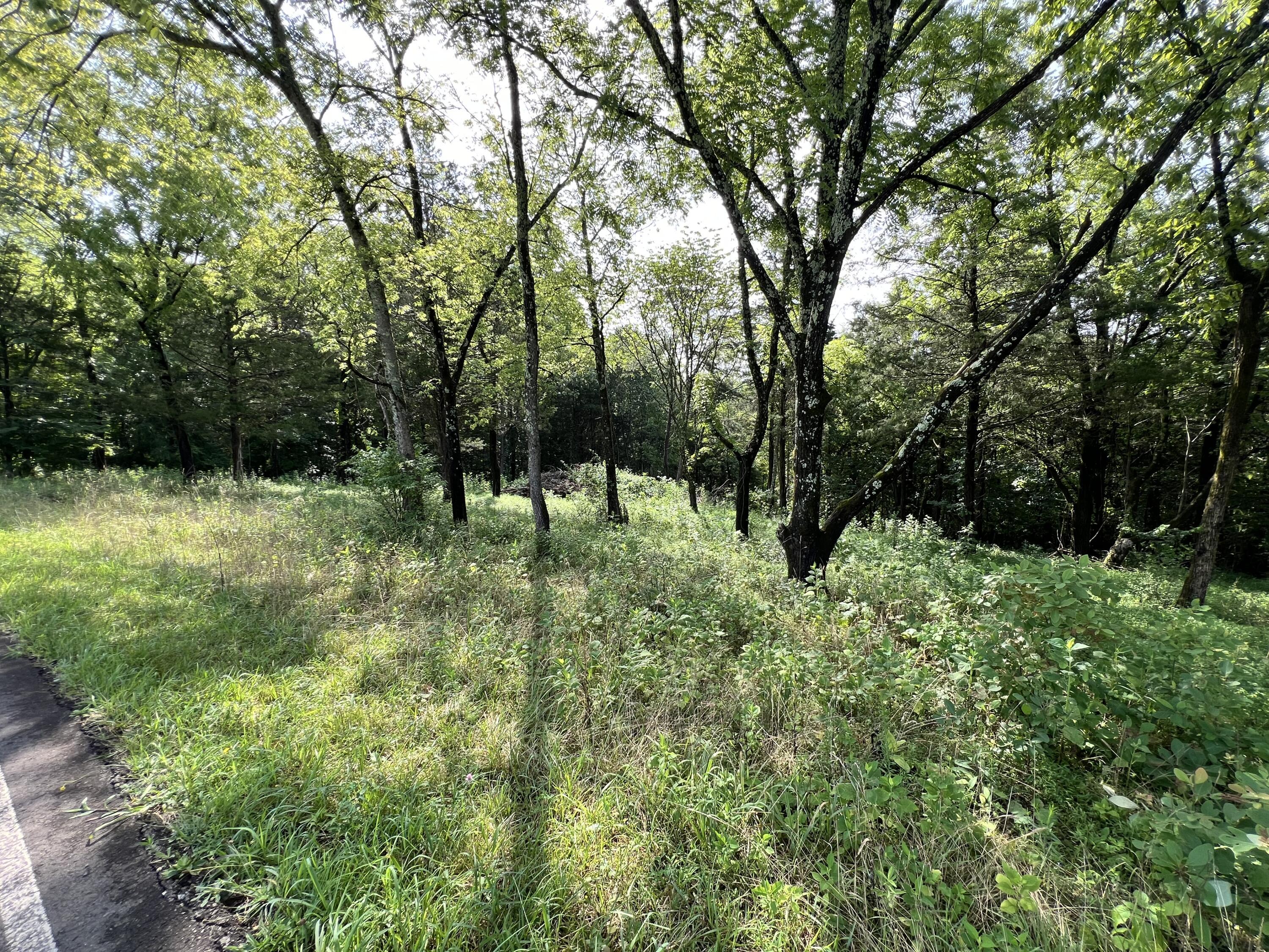 Image 3: From road - Partially wooded