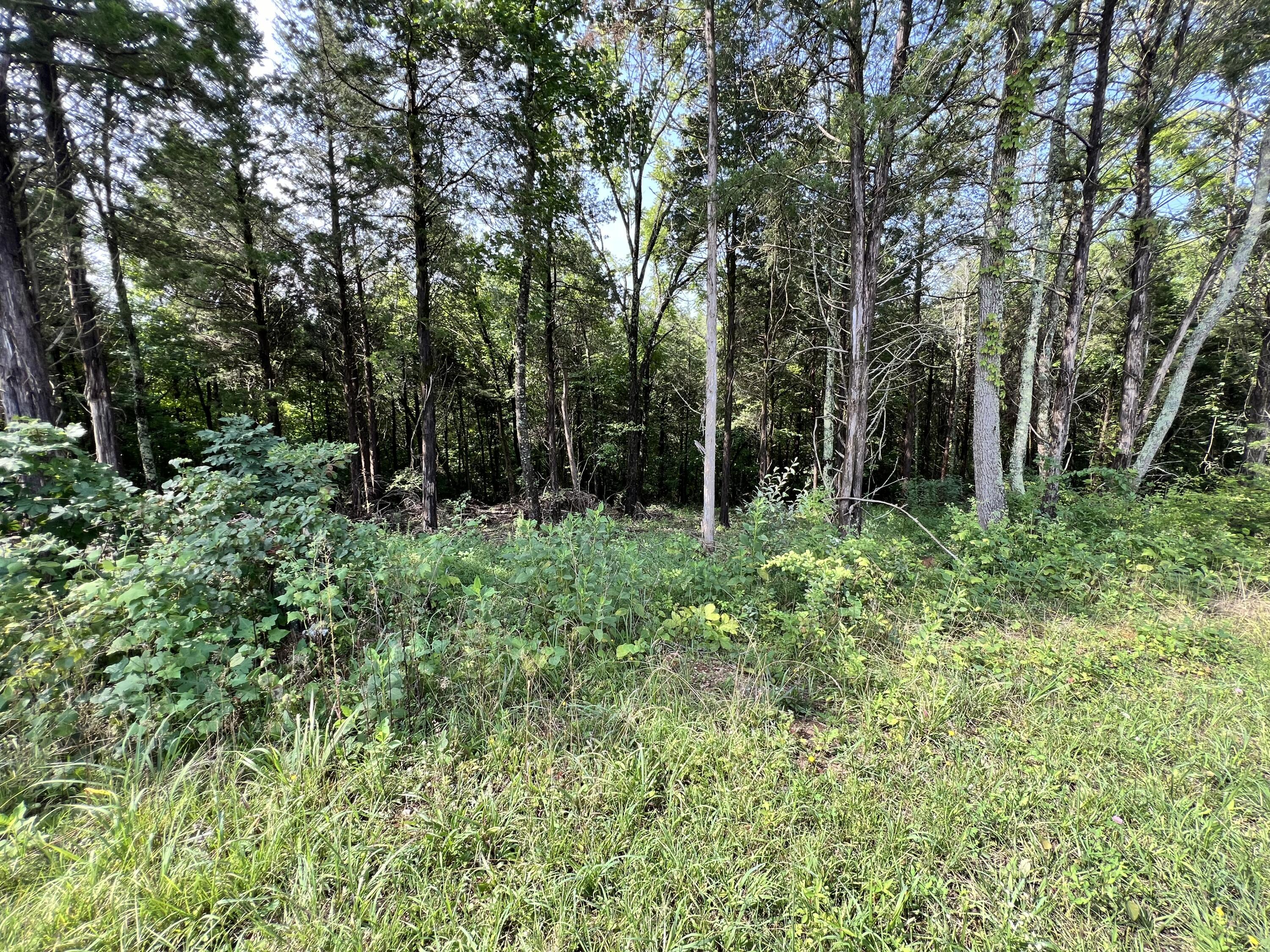Image 3: From road - Partially wooded