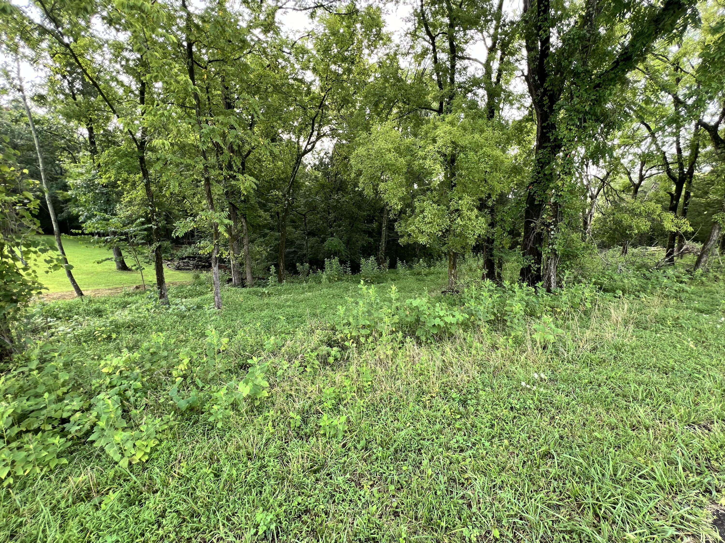 Image 4: From road - Partially wooded