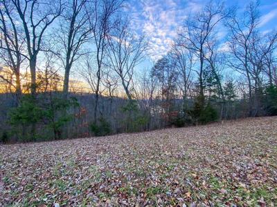 2005 Turners Landing Rd.