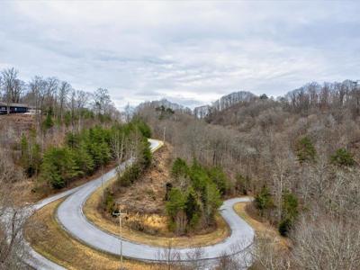 Lot 389 Mountain Shores ROAD