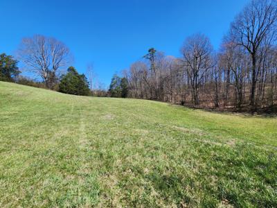 Lot 64 Shiloh Springs Road