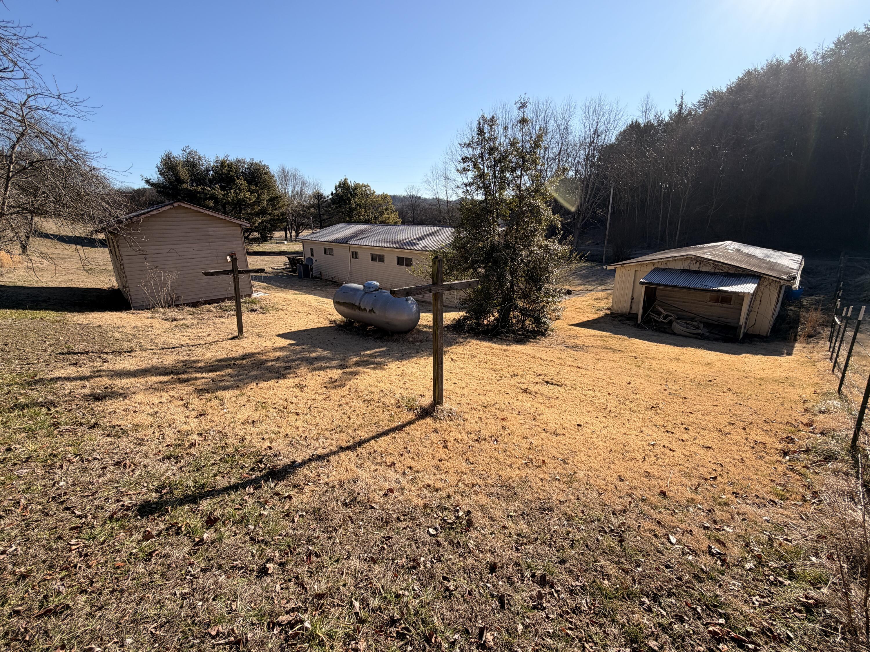 Image 4: Large backyard