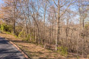 Lot 6 Shiloh Springs Road