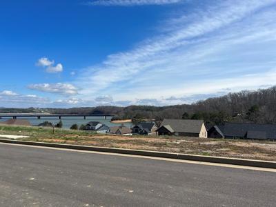 Shoreline Vista