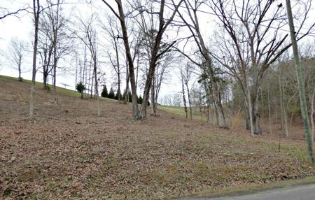 Lot 48R-1 Flatwoods Road
