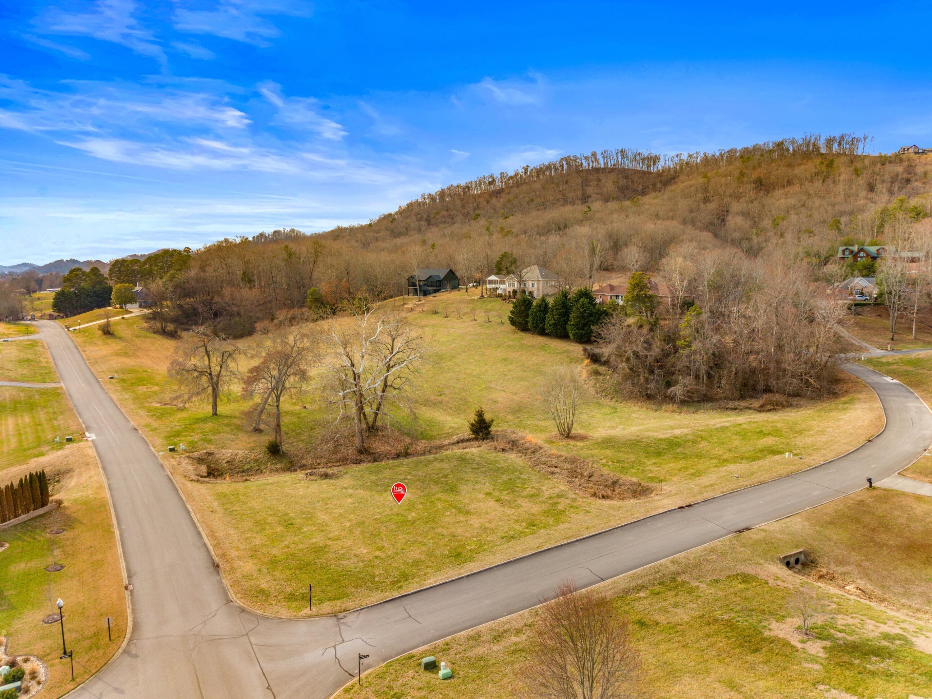 Image 4: 003-1059LegacyBayDrive-Mooresburg-TN-378