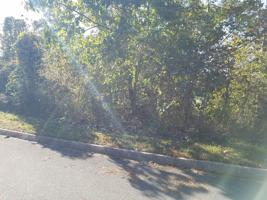 Lot 141 Cow Poke Lane