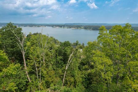Lot 75 Clear Point Trail