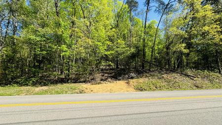 00 Lakeway Road