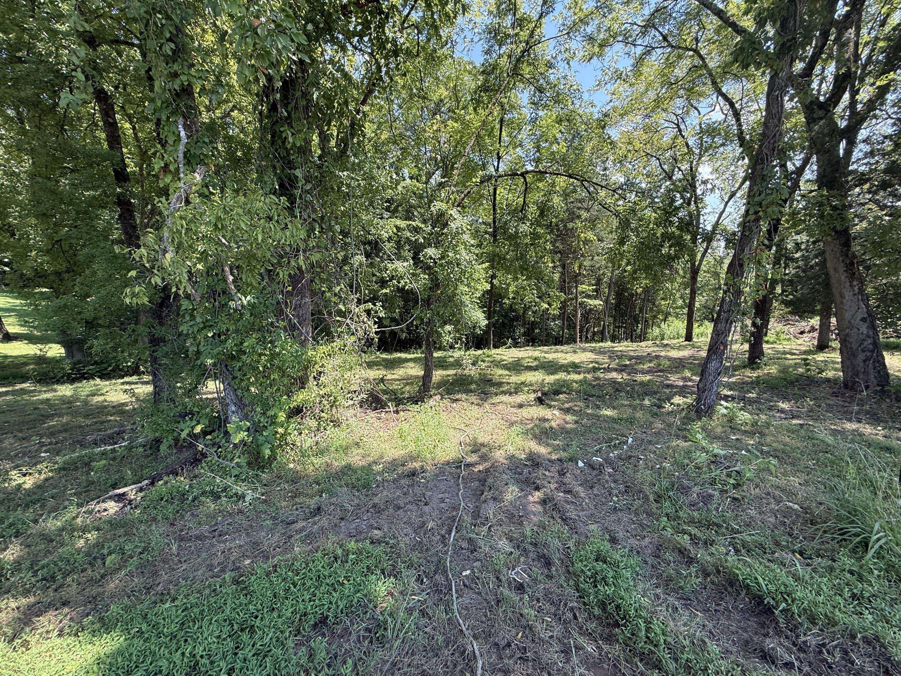 Image 3: IMG_2742