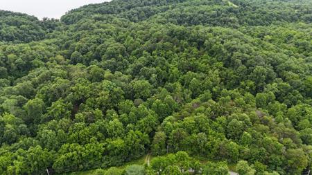 5 Lots Fortunato Drive