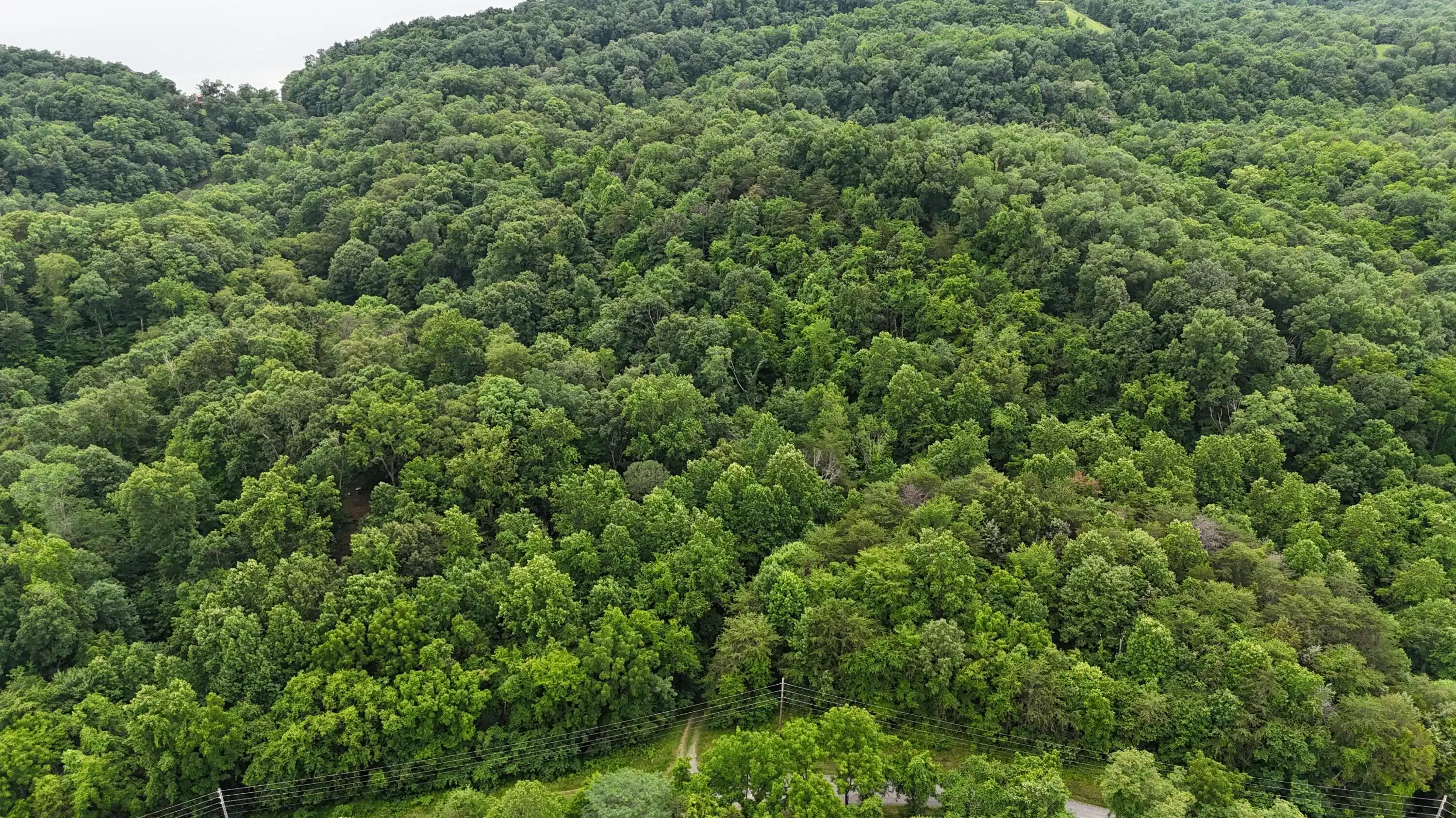 Image 1: dji_fly_20250609_164742_0423_17495020659