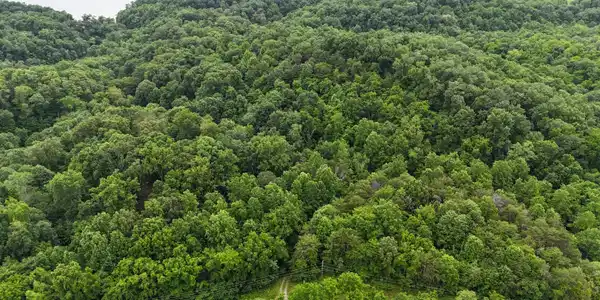 5 Lots Fortunato Drive