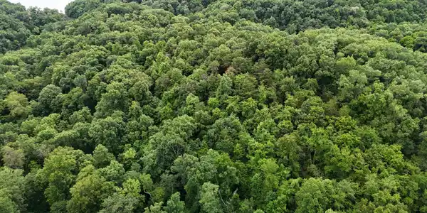 Image 2: dji_fly_20250609_164814_0424_17495020656
