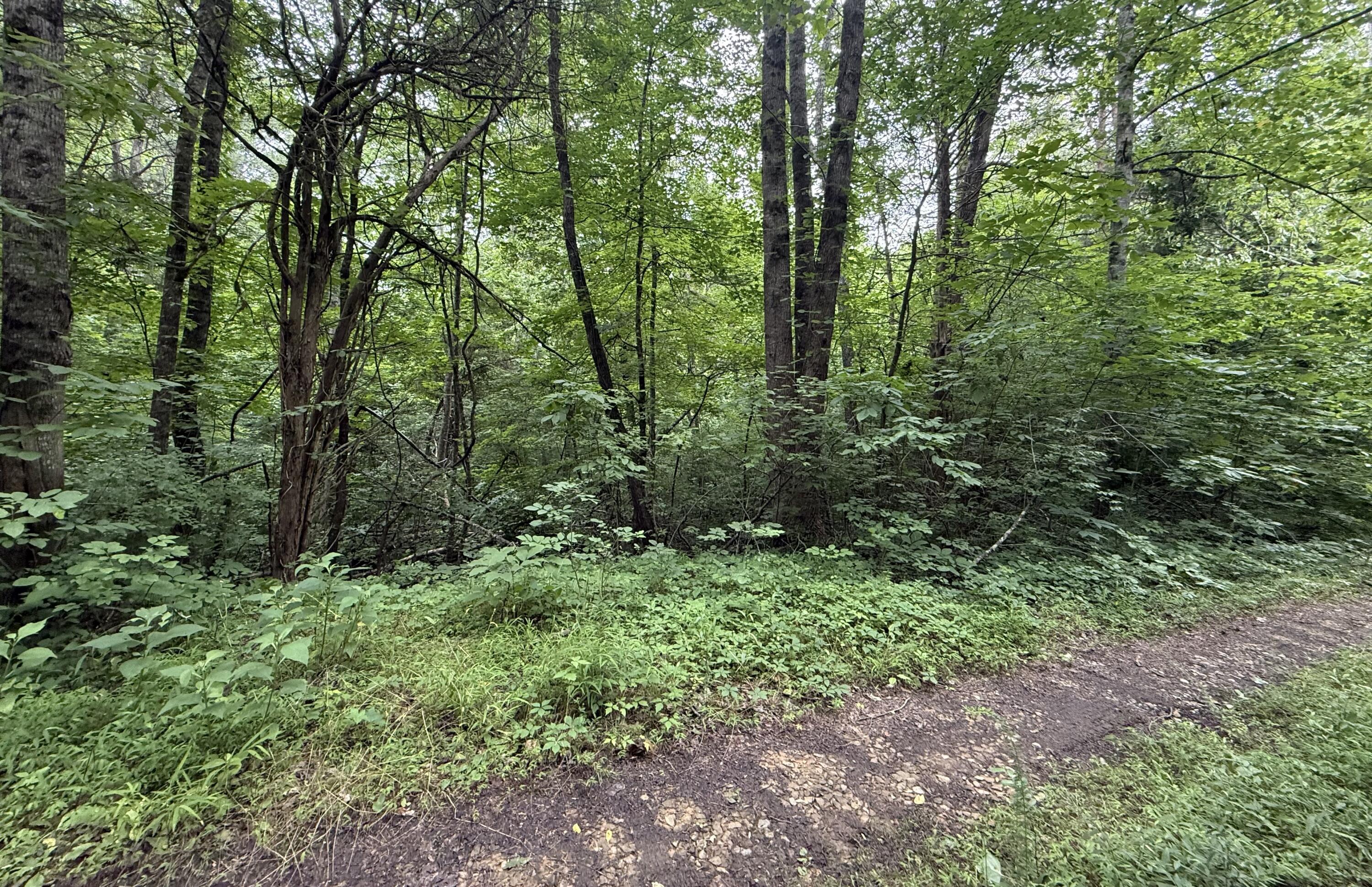 Image 3: IMG_3225