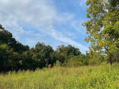 Lot 66 Bayside Boulevard