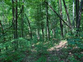 Lot 5 Bayside Blvd