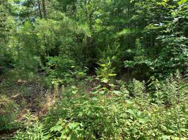 Lot 32 Bayside Blvd