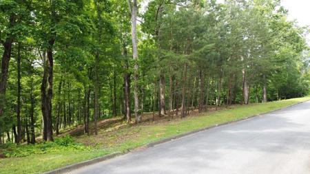 Lot 96 Turtle Dove Trail